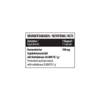 Nattokinase 90 Kapseln