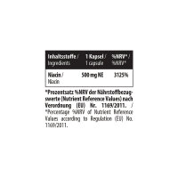 Niacin (flush-free) 120 Kapseln