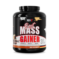 Best Mass Gainer 3 kg Salted Caramel